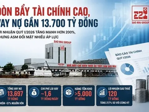 Tập đoàn Sao Mai gánh gần 13.700 tỷ đồng nợ vay, mỗi ngày trả 1,6 tỷ đồng lãi ngân hàng