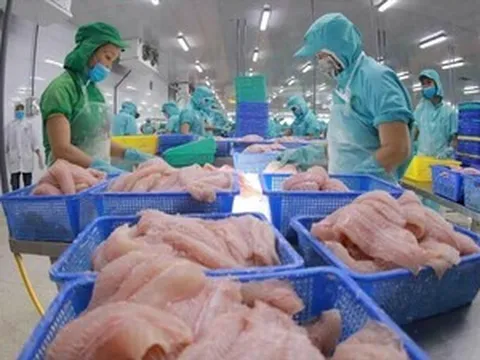 IDI báo lãi tăng hơn 50% trong quý đầu năm 2026
