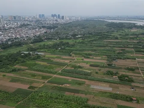 Bộ Nông nghiệp và Môi trường yêu cầu đăng tải công khai vi phạm đất đai