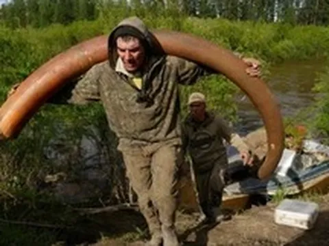 Bí ẩn rùng rợn đằng sau cơn sốt săn lùng xác voi ma mút Siberia
