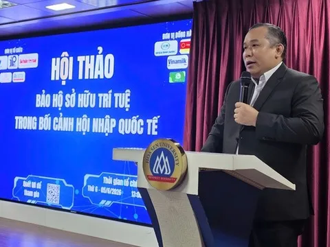 Một đêm xử lý hơn 200 website lậu, chuyên gia nói gì về “cuộc chiến” bản quyền?