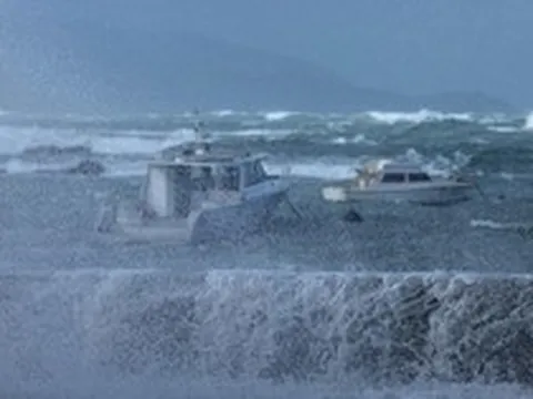 Video: Cận cảnh sóng thần cao 11m tấn công New Zealand, hàng trăm người phải sơ tán khẩn