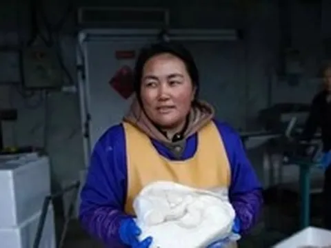 ‘Cơn lốc’ gan ngỗng béo Trung Quốc đe dọa vị thế thống trị của Pháp
