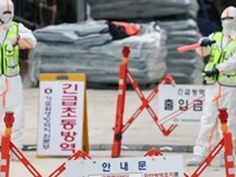 Hàn Quốc báo động: Dịch bệnh lở mồm long móng xuất hiện sau 11 năm, kích hoạt ứng phó khẩn cấp