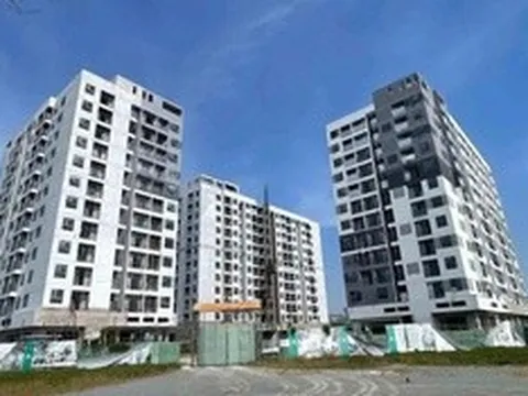 Tạm gác giấc mơ an cư vì giá vật liệu xây dựng “lập đỉnh”