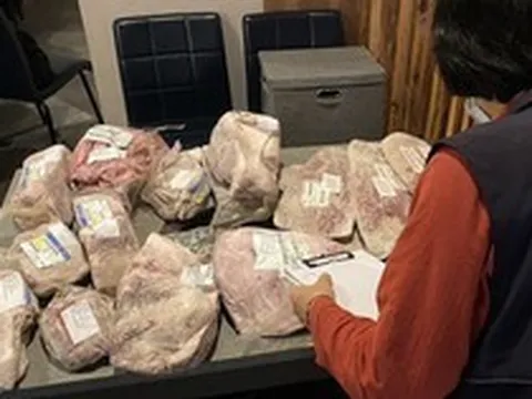 Phát hiện nhà hàng bán thịt bò Wagyu hết hạn cho khách: Chủ quán, quản lý lẫn bếp trưởng đều nhận án tù