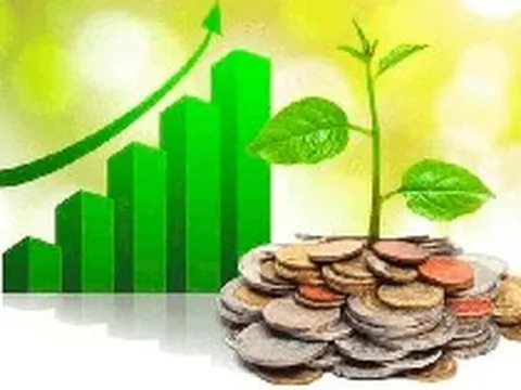 Lịch chốt quyền cổ tức tuần đầu tháng 8: Vinhomes "lăn chốt", cổ tức tiền mặt cao nhất 100%