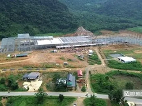 Nhà máy sản xuất ván tre 3.200 tỷ mở đường đưa cây tre Việt "xuất ngoại"