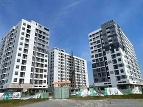 Tạm gác giấc mơ an cư vì giá vật liệu xây dựng “lập đỉnh”