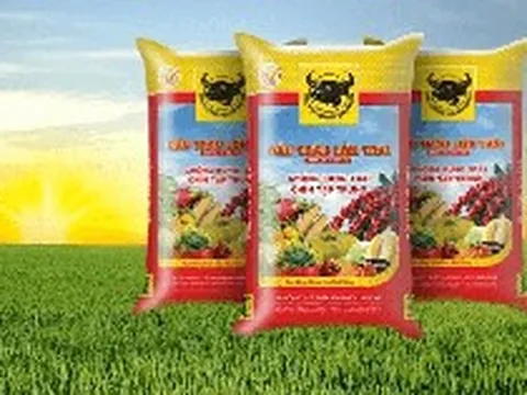 Lợi nhuận “lao dốc”, thù lao nhiều lãnh đạo Phân bón Bình Điền (BFC)  tăng hơn gấp đôi