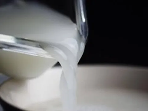 Vì sao không nên đổ nước vo gạo xuống cống?