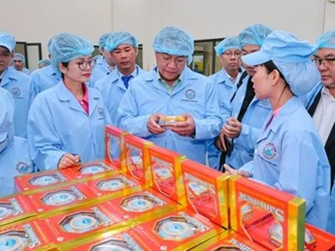 Đoàn Đại biểu cấp cao Viêng Chăn tham quan nhà máy yến sào SANVINEST Khánh Hòa