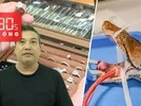 Bản tin 30s nóng: Kết quả giám định kim cương liên quan bị can Đặng Ngọc Thảo; Chữa ung thư cho trăn