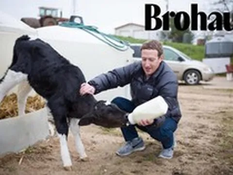 Trại bò của Mark Zuckerberg
