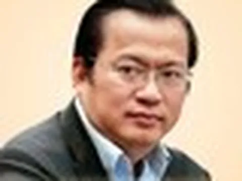 Cây xanh đổ làm chết người: Đừng đợi tai nạn rồi mới nói chuyện trách nhiệm