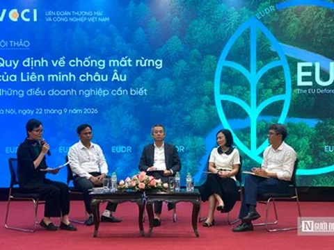 Từ vùng nguyên liệu đến thị trường EU: Bài toán truy xuất của doanh nghiệp Việt
