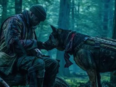 Heart of the Beast: Một người một chó, họ không đơn thuần là chủ và tớ, mà là những người anh em đồng chí thực sự