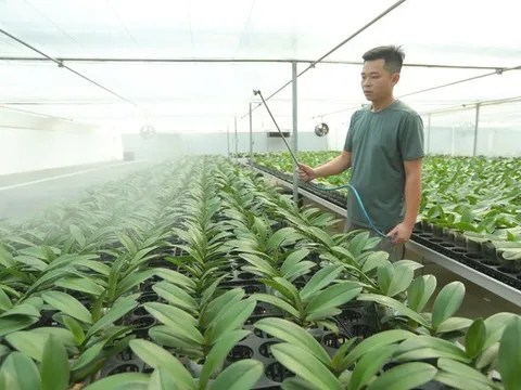 Thanh Hóa: Công nghệ vào ruộng, nông sản tìm đường ra thị trường