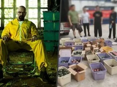 Phiên bản Breaking Bad đời thực sa lưới, bắt giữ cựu giáo sư hóa học lập xưởng điều chế ma túy