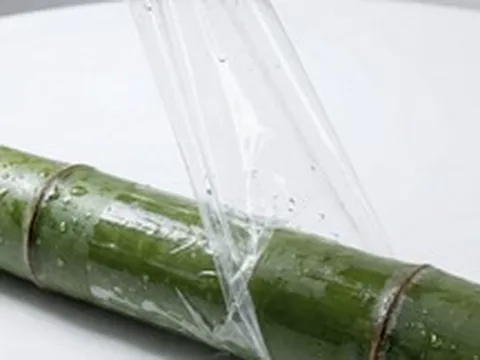 Phát minh của Trung Quốc làm rung chuyển ngành vật liệu: Trộn tre với nhựa, tạo ra loại composite bền hơn 81% và dai hơn 173%, chống được sóng điện từ