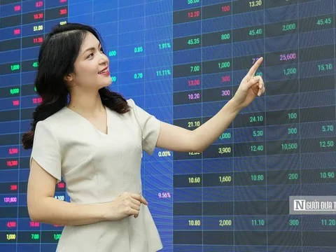 VN-Index dò đáy quanh 1.730 điểm, nhóm cổ phiếu nào sáng cửa đón dòng tiền?