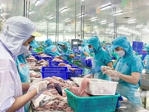 Xuất khẩu thủy sản sang Anh sắp có thêm yêu cầu về hồ sơ IUU