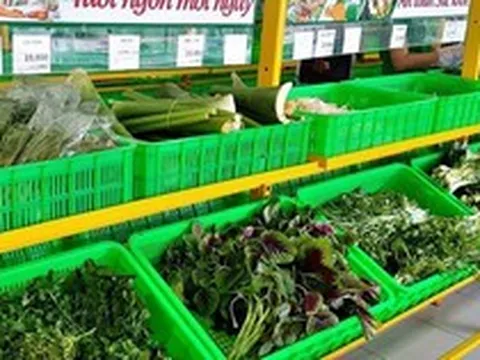 Một “đại gia” tuyển người cùng bán rau, thu nhập có thể lên đến 30 triệu đồng