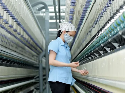 Gia hạn thêm 5 năm chống bán phá giá đối với sợi polyester nhập khẩu
