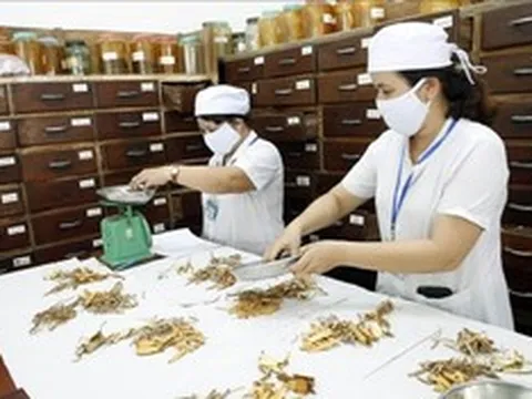 Mục tiêu 2030: 100% tỉnh, thành phố có bệnh viện y học cổ truyền