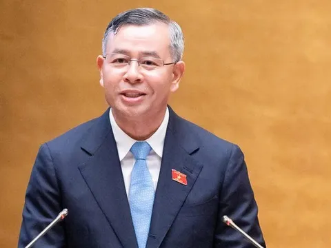 "Doanh nghiệp một người" không bắt buộc phải có Chủ tịch, Kế toán trưởng