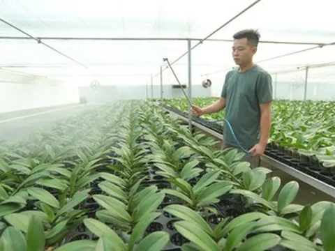 Thanh Hóa: Công nghệ vào ruộng, nông sản tìm đường ra thị trường