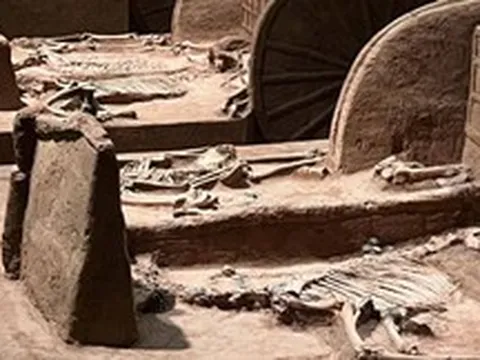 Bí ẩn ba ngàn năm dưới lòng đất: Vì sao toàn bộ lăng mộ thiên tử Tây Chu đều biến mất không dấu vết?
