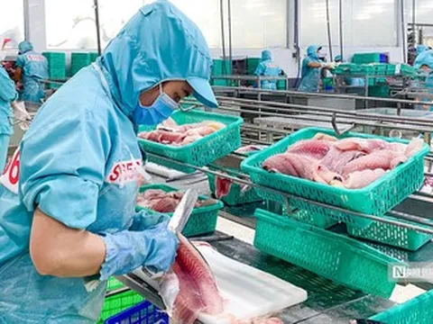 VASEP chỉ ra những “nút thắt” về thuế gây khó cho doanh nghiệp thủy sản