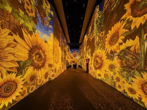 Một thế giới đầy sắc màu cho con trong dịp nghỉ lễ 2/9 với Van Gogh Timeless